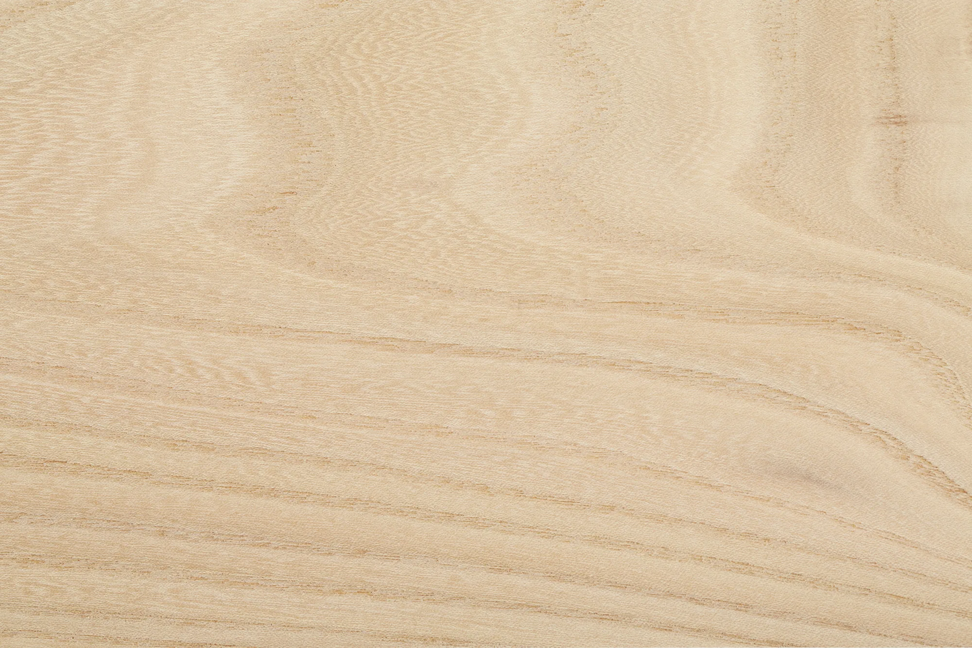 Houtnerf van Amerikaanse rode iep (red elm) — warm getint Noord-Amerikaans loofhout bij CIB Wood — voorbeeldfoto 1