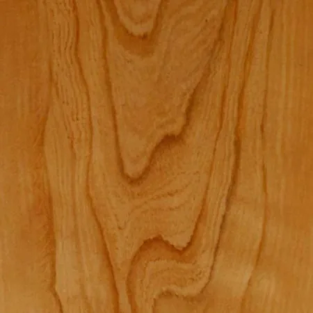 Houtnerf van Amerikaanse rode iep (red elm) — warm getint Noord-Amerikaans loofhout bij CIB Wood