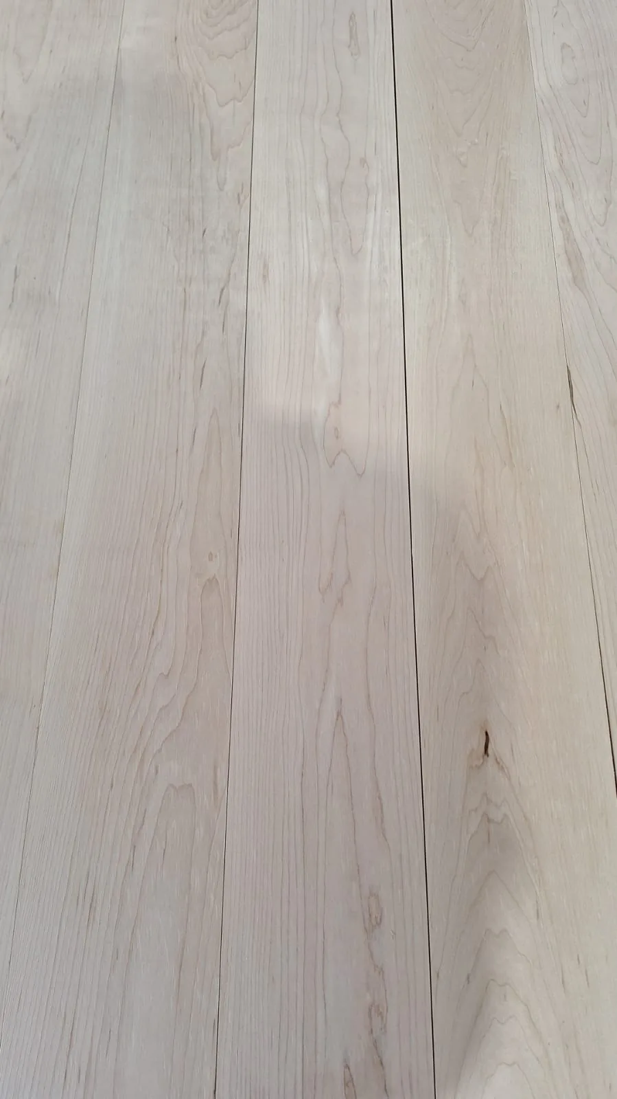 Houtnerf van Europese witte esdoorn (Acer pseudoplatanus) — licht Europees loofhout bij CIB Wood — voorbeeldfoto 1
