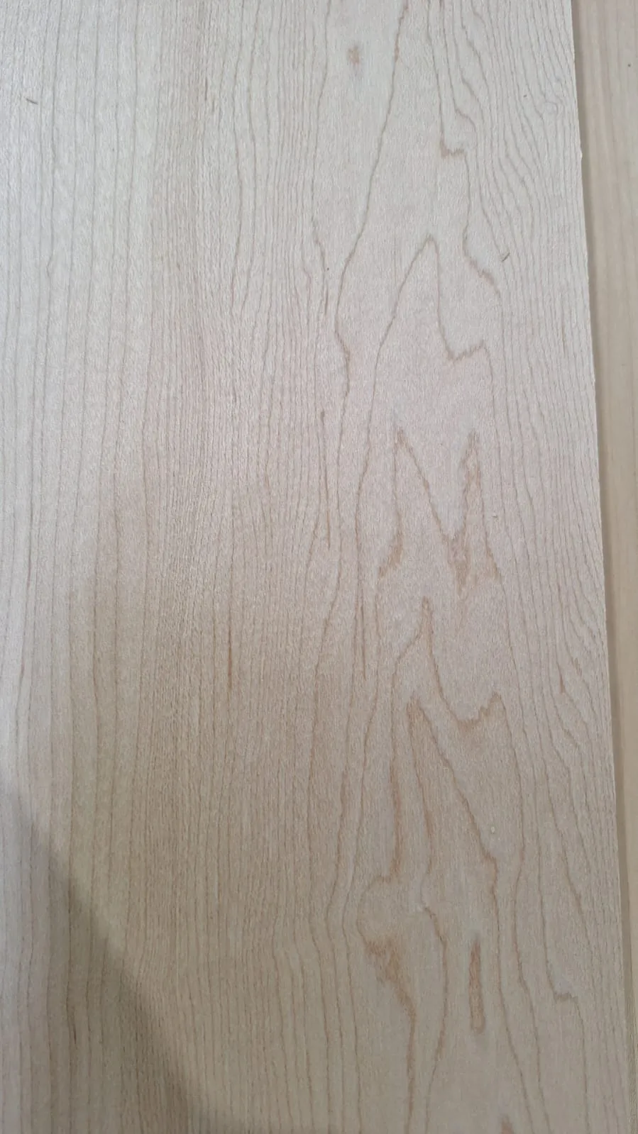 Houtnerf van Europese witte esdoorn (Acer pseudoplatanus) — licht Europees loofhout bij CIB Wood — voorbeeldfoto 3